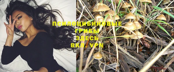 марки lsd Алзамай