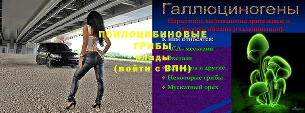 PSILOCYBIN Алексин